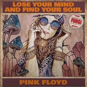 Pink Floyd - Lose Your Mind And Find Your Soul (bootleg) LP