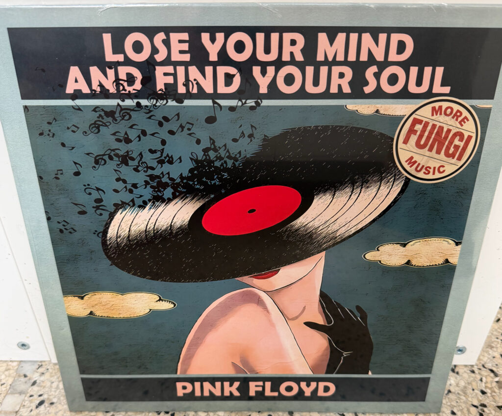 Pink Floyd - Lose Your Mind And Find Your Soul (bootleg) LP